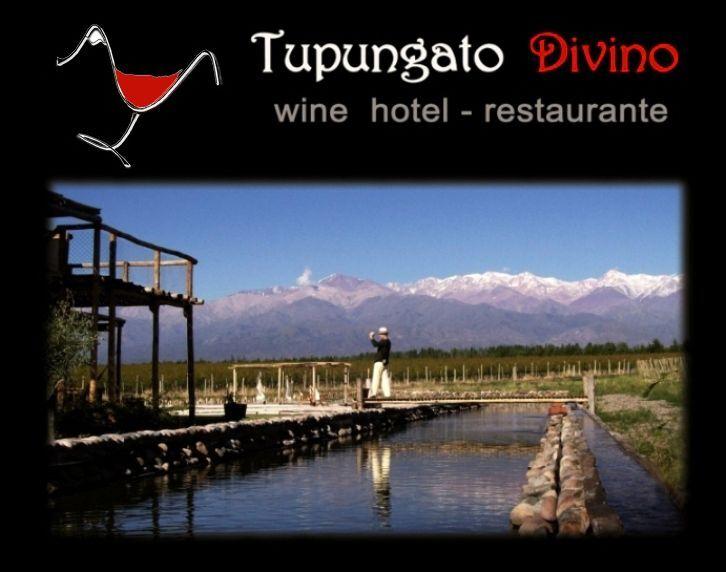 Tupungato Divino — photo 1