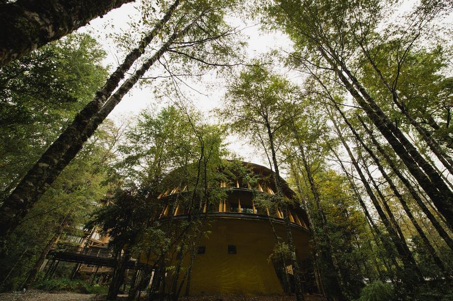 Hotel Reino Fungi — foto 1