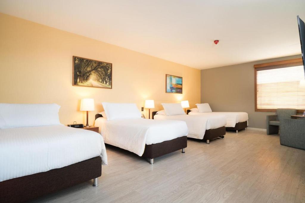 Habitel Prime — foto 2