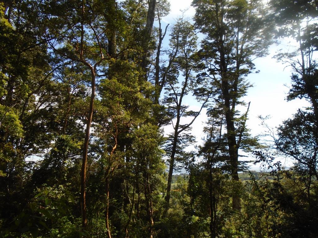 Casa Pindal — foto 1