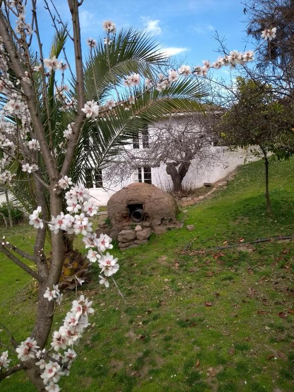 Hotel Plaza Malloa — foto 2
