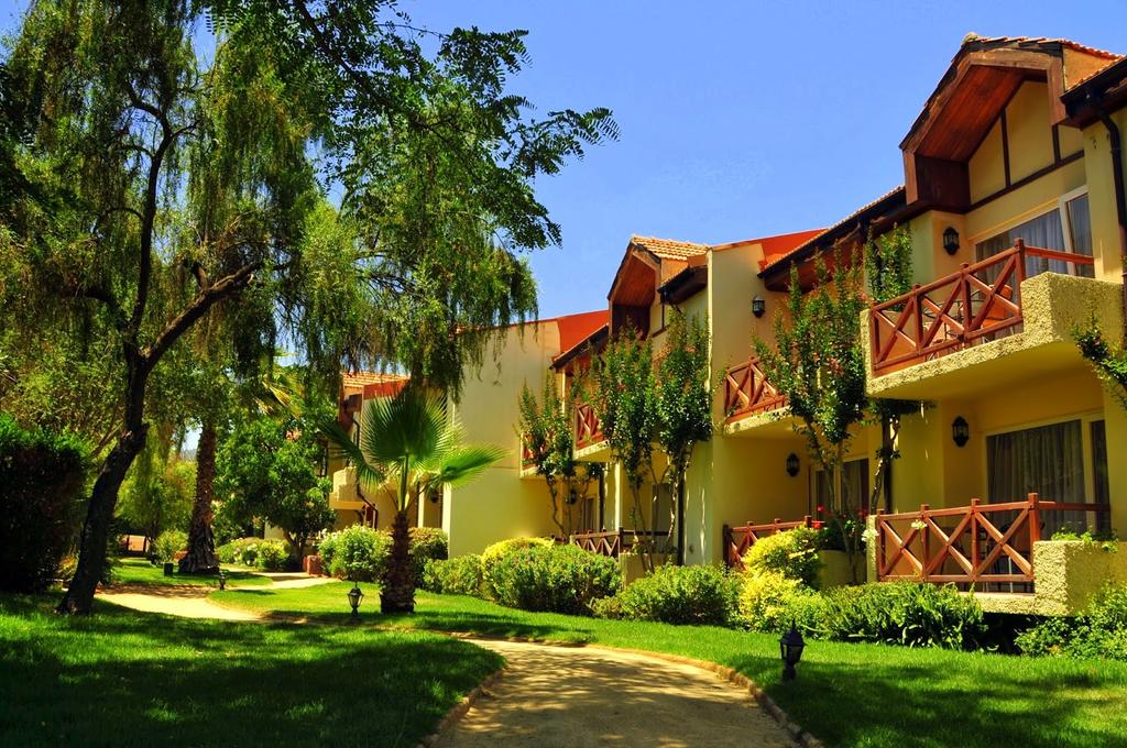 El Copihue de Olmué — photo 1