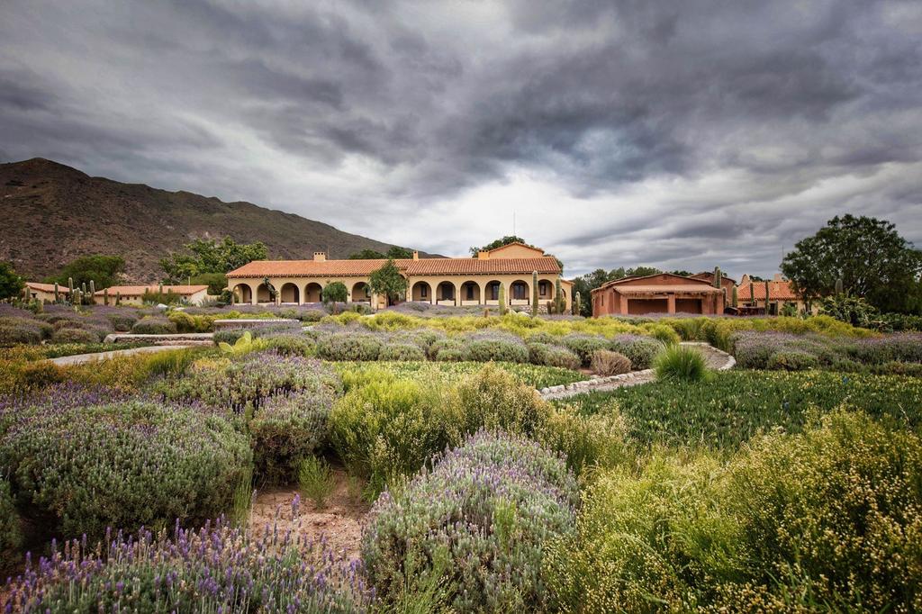 Estancia Colomé — photo 1