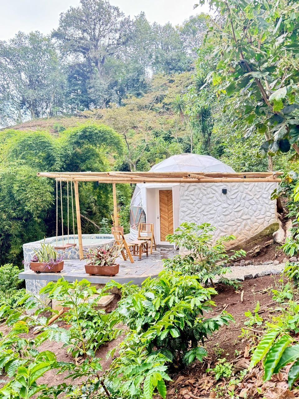 Alma Glamping Xalapa-Coatepec — foto 1