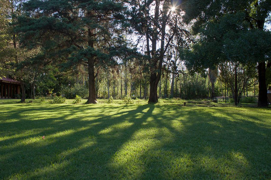 Lujan de Cuyo B&B — foto 2