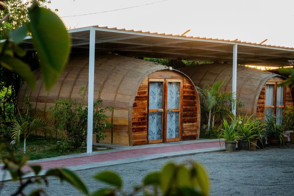 Glamping Toneles y Viñedos — foto 1